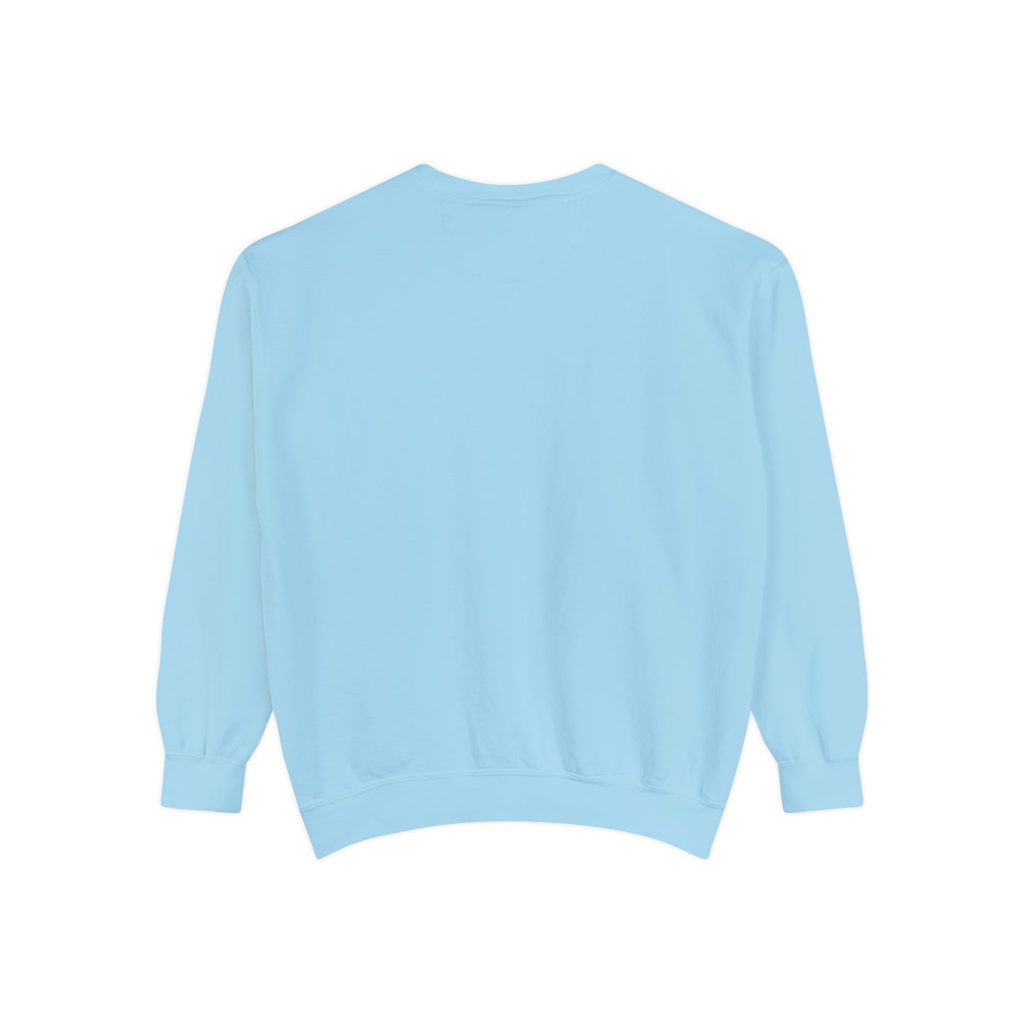 Coastal Cowgirl Sweatshirt, Florida Cowgirl, Cozy Sweatshirt